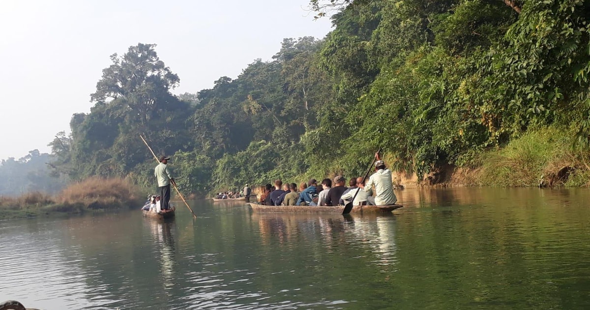 Z Katmandu Lub Pokhary Dniowa Wycieczka Do Parku Narodowego Chitwan