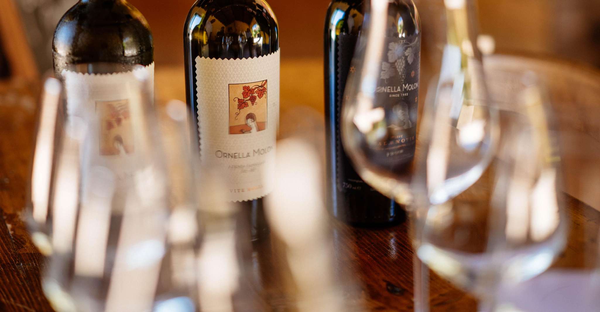 Oderzo: degustazione di vini del Piave presso la cantina Ornella Molon