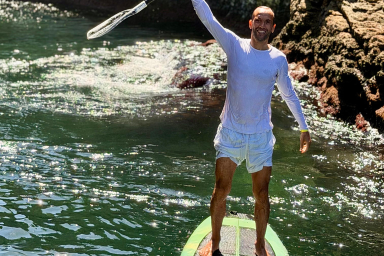 Exclusive Experience in Rio's Secret Paradise with Turtles and Stand-Up Paddleboarding