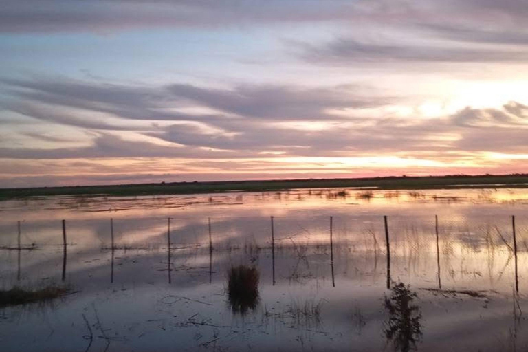 Shakawe: safari de 3 días por el este del OkavangoShakawe: Safari de 3 días por el este del Okavango