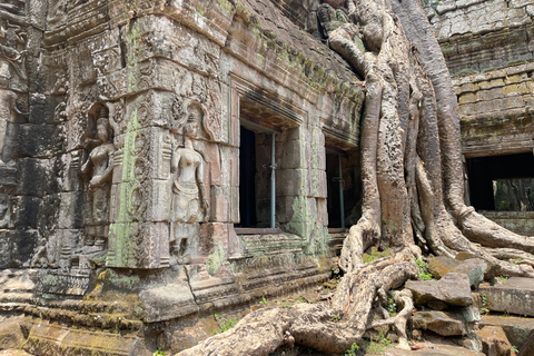 Siem Reap: Angkor Wat Private Ganztagestour