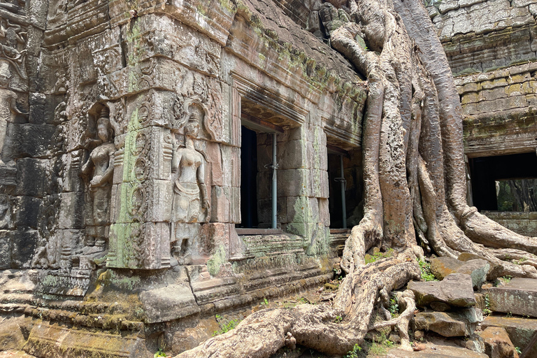 Siem Reap: Angkor Wat Private Ganztagestour