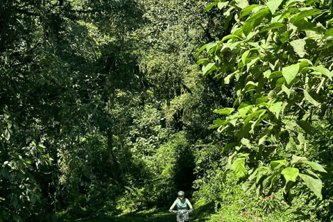 E-Bike Tour for Adventure Seekers