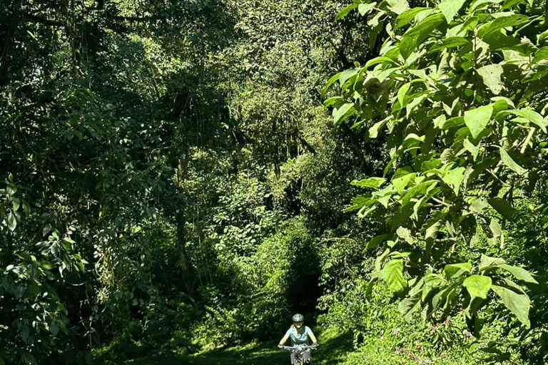 E-Bike Tour for Adventure Seekers