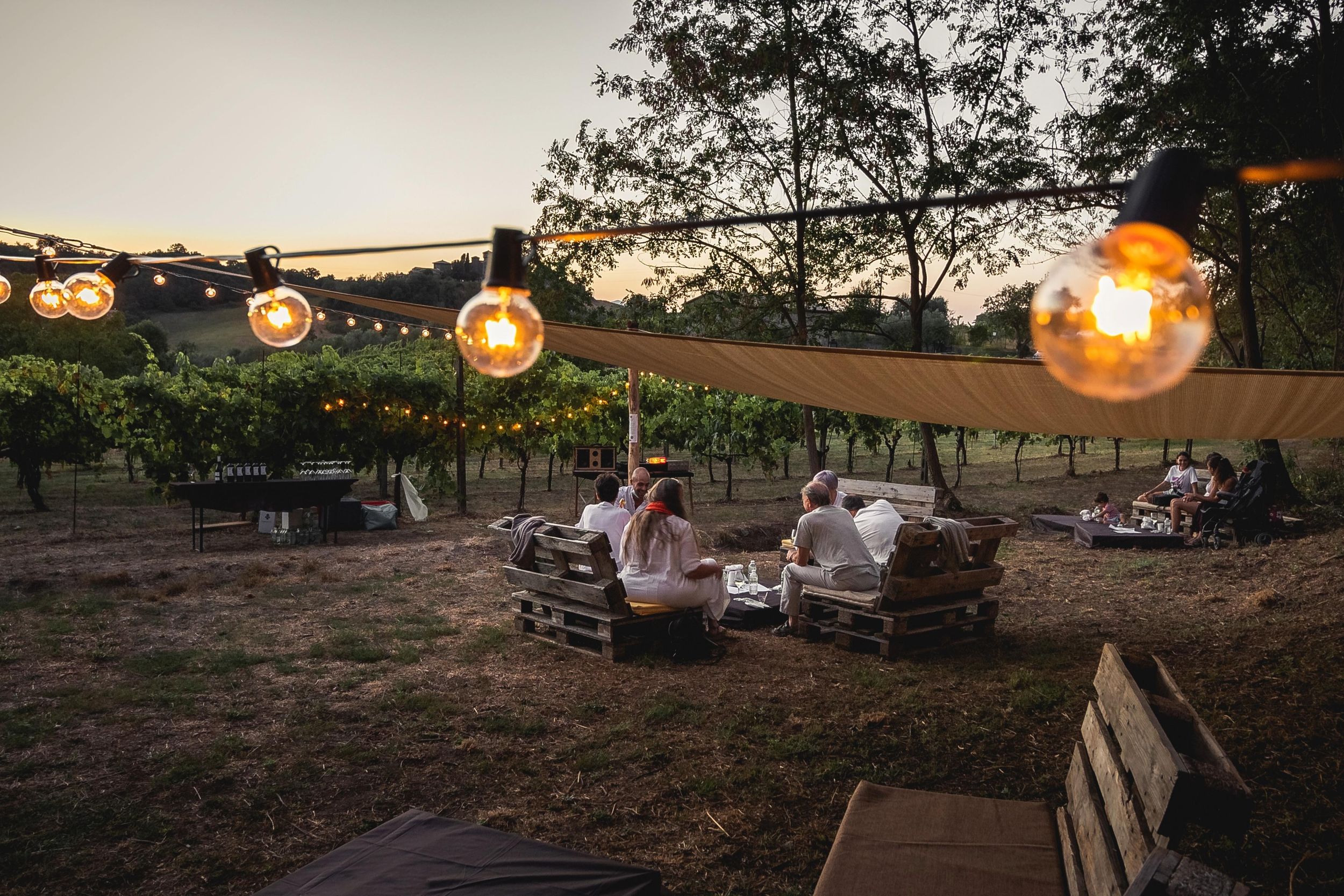 Orvieto: Wein-Erlebnis bei Sonnenuntergang mit dem Winzer