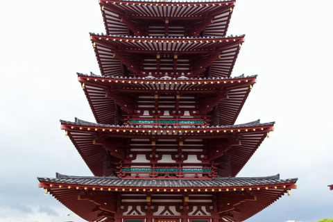 From Osaka/Kyoto/Nara: Customizable Private Tour & Car/Guide