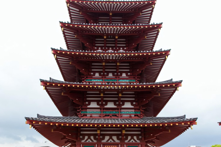 From Osaka/Kyoto/Nara: Customizable Private Tour & Car/Guide