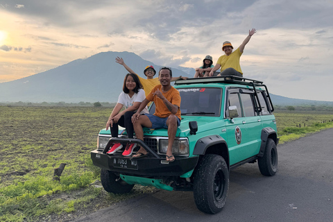 بانيووانجي: جولة في غابة دجاواتان ومتنزه بالوران الوطني