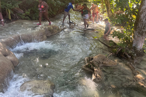 Montego Bay: Blue Hole, Secret Falls, and Dunn's River Tour