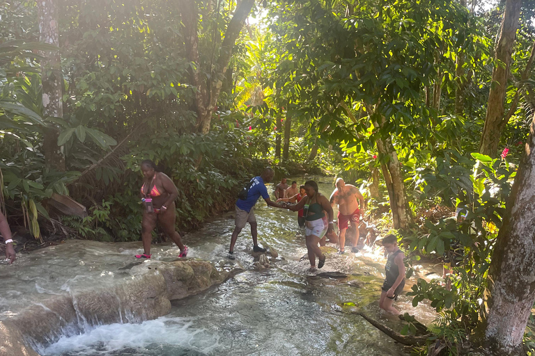 Montego Bay: Blue Hole, Secret Falls, and Dunn's River Tour