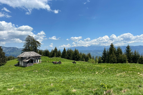 Muscel: The Hidden Trails: Full-Day Horseback Exploration