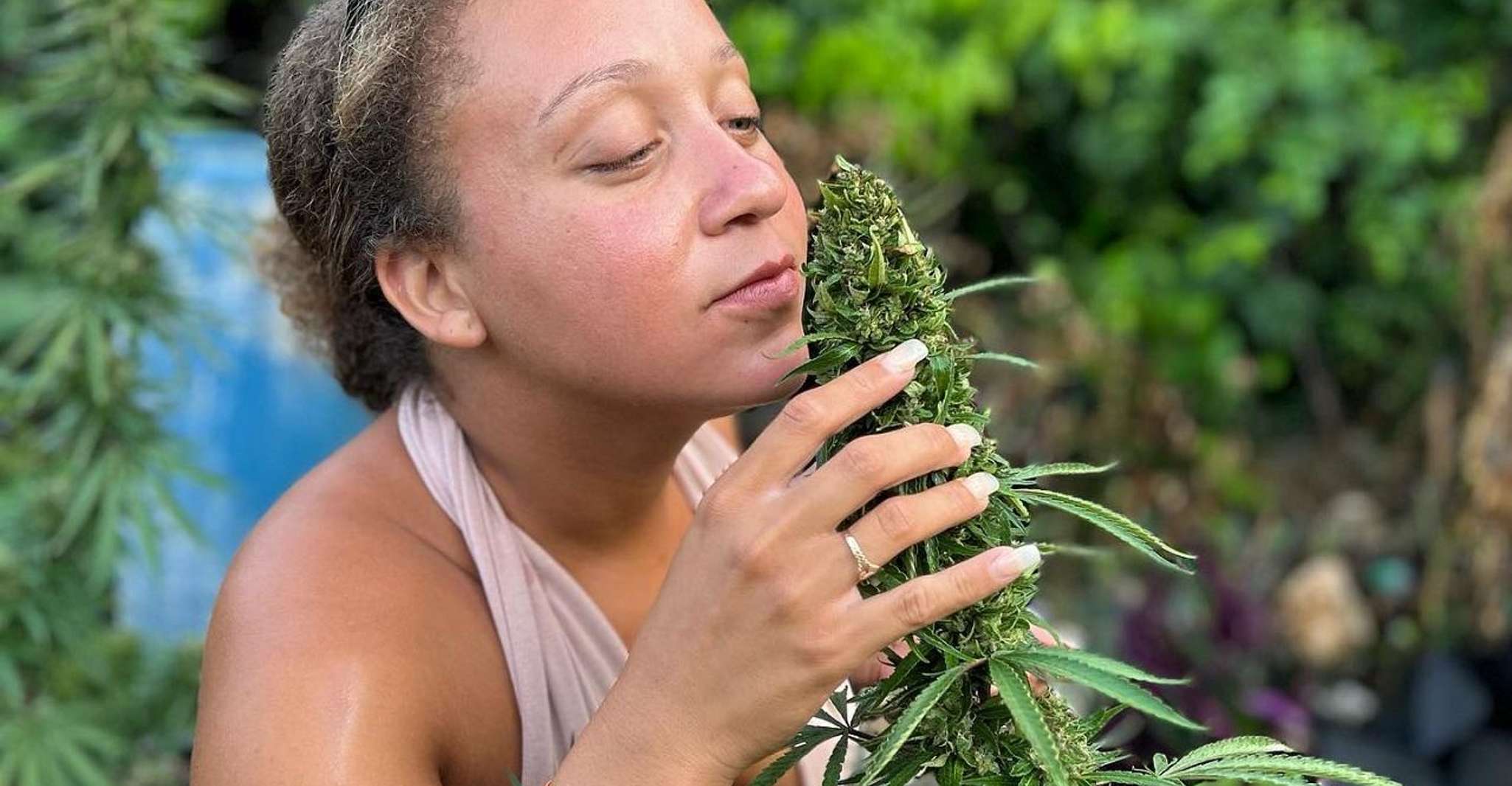 Montego Bay, Marijuana Farm and Bird Sanctuary Tour yakınlarında yapılacak şeyler - Hizvo