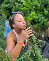 Montego Bay, Marijuana Farm und Vogelschutzgebiet Tour - Hizvo