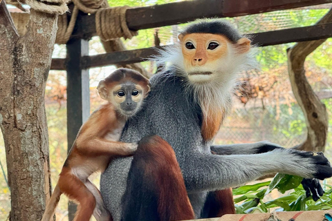 Bangkok/Pattaya: Excursão particular ao Zoológico Khao Kheow com serviço de busca