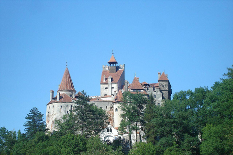 From Bucharest: Dracula's Castle, Prejmer Citadel & Brasov