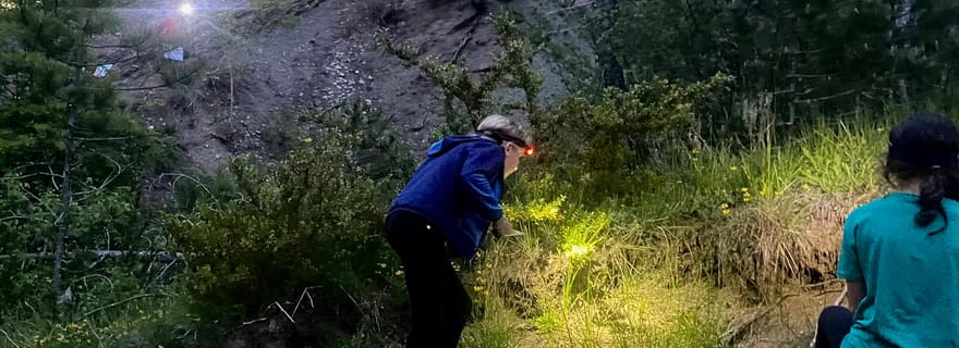 Detective Club : jeu d'enquête nature pour toute la famille !