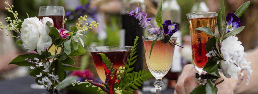 Atelier de cueillette et de mixologie sur la côte centrale