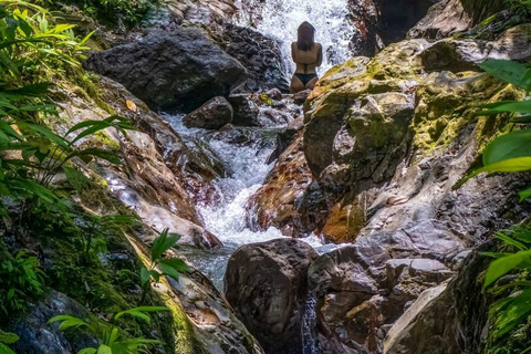 Puntarenas: Rainmaker Park Guided Tour with Lunch