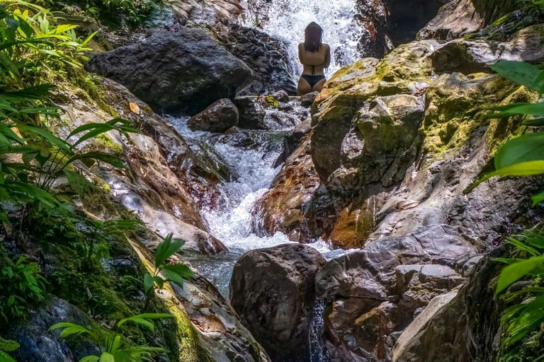 Puntarenas: Rainmaker Park Guided Tour with Lunch