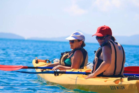 Airlie Beach: Halve dag schildpaddentocht zeekajakavontuur