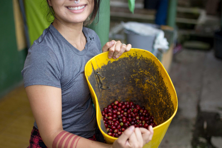 Medellín: Comuna 8 Transformation & Urban Coffee Farm Tour