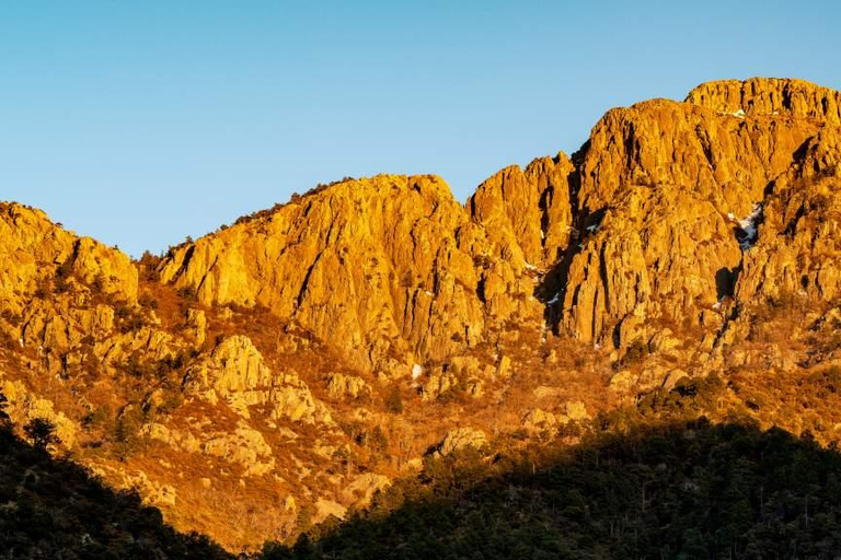 From Scottsdale: Madera Canyon Full-Day Nature Tour