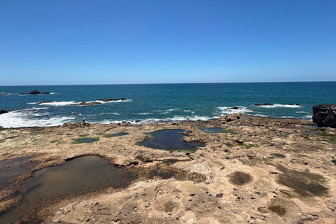 From Marrakech: Essaouira Day Trip with Free Time to Explore From Marrakech: Private Day Trip to Essaouira