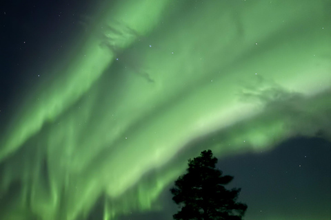 Saariselkä: tour fotografico privato dell'aurora boreale