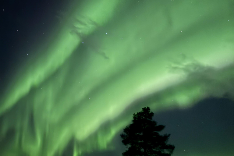 Saariselkä: tour fotografico privato dell'aurora boreale