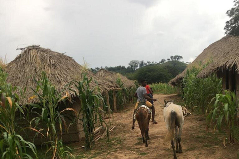 Palenque: Eco-Tour Privado a Caballo con Comida