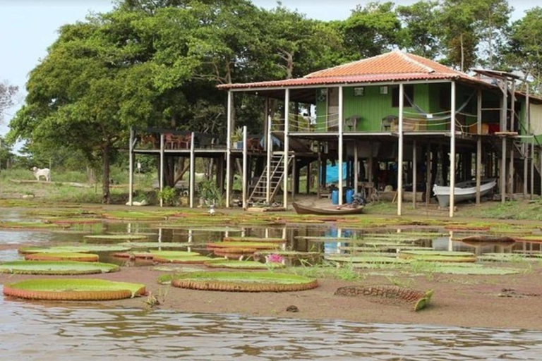 Jari Canal and Flavors of Vitória-Régia: Amazon River Experience