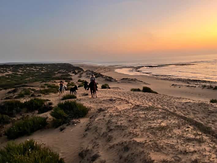 Essaouira : excursion d'une journée avec pause thé - equitation