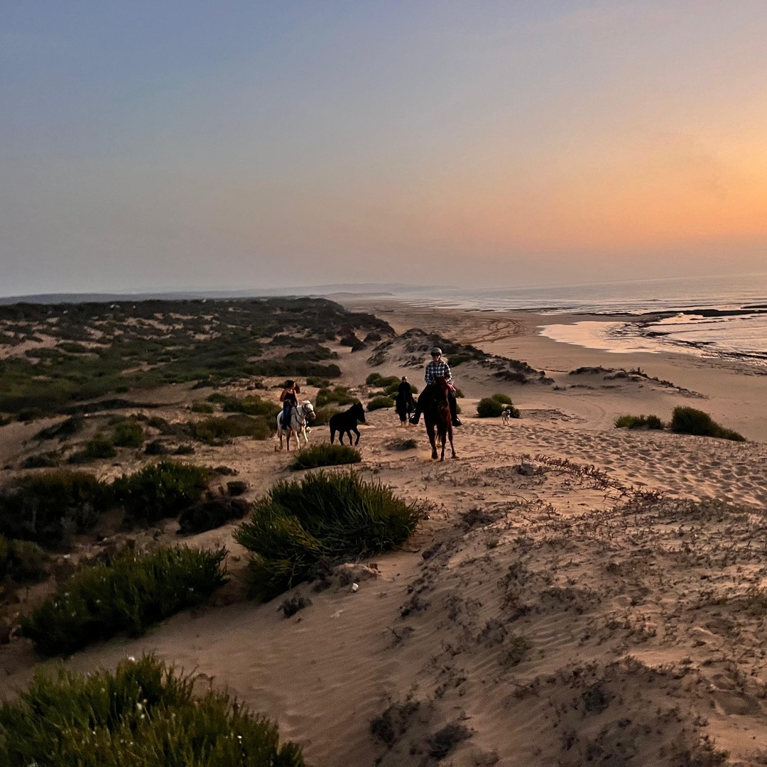 Essaouira : excursion d'une journée avec pause thé - equitation