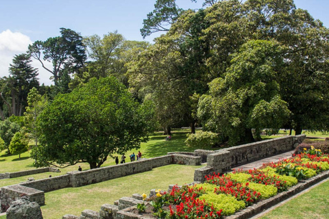 Extravagância privada de jardins e esculturas em AucklandO melhor jardim e escultura extravagante de Auckland!