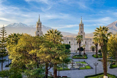 Arequipa: Walking City Tour & Santa Catalina