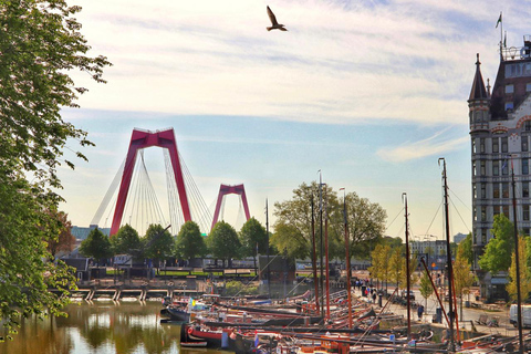 Rotterdam Discovery Walk: Ikonische Märkte und moderne Wunderwerke