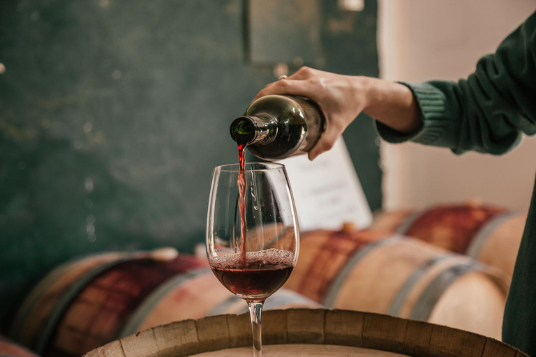 私人 Bodega Gamboa 葡萄酒品尝之旅（含午餐）布宜诺斯艾利斯的私人导游