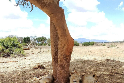 Mombasa/Diani: 2-Day Tsavo East Safari with Meals Private day tour to Tsavo East National Park - VAN