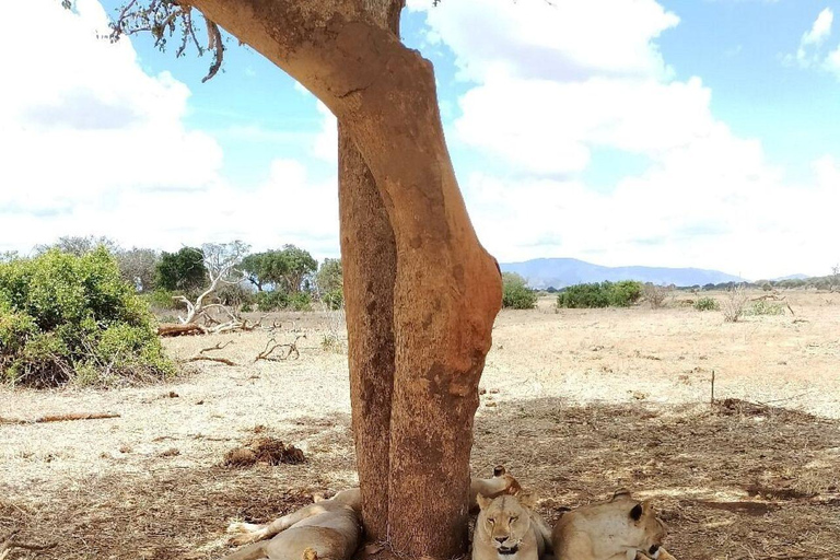 Mombasa/Diani: 2-Day Tsavo East Safari with Meals Private day tour to Tsavo East National Park - VAN