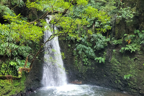 Découvrez et randonnez à São Miguel avec Rúben