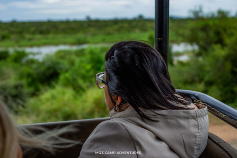 Kruger Park: Big Five Photography Expedition from Maputo