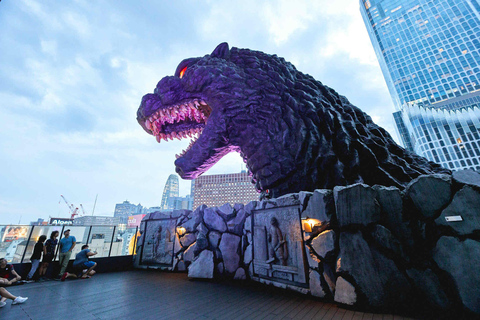 HOOGTEPUNTEN VAN TOKYO - WANDELTOUR DEEL 2