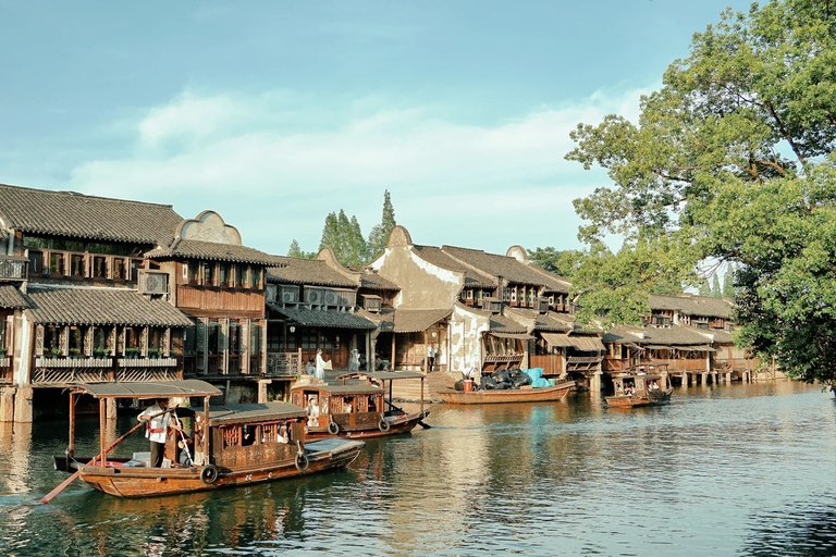 From Hangzhou: Wuzhen Water Town Day Trip & Night Lights