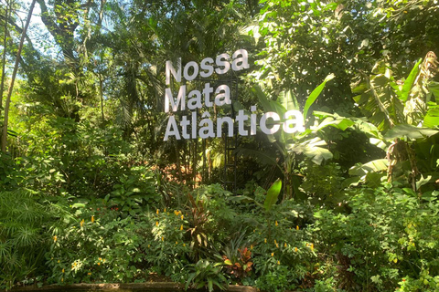 Foz do Iguaçu: Falls, Bird Park, and Macuco Safari Tour