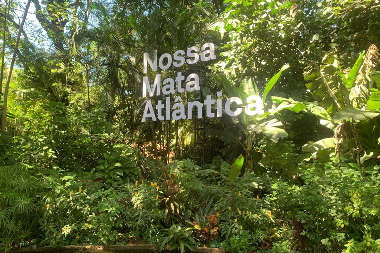 Foz do Iguaçu: Falls, Bird Park, and Macuco Safari Tour