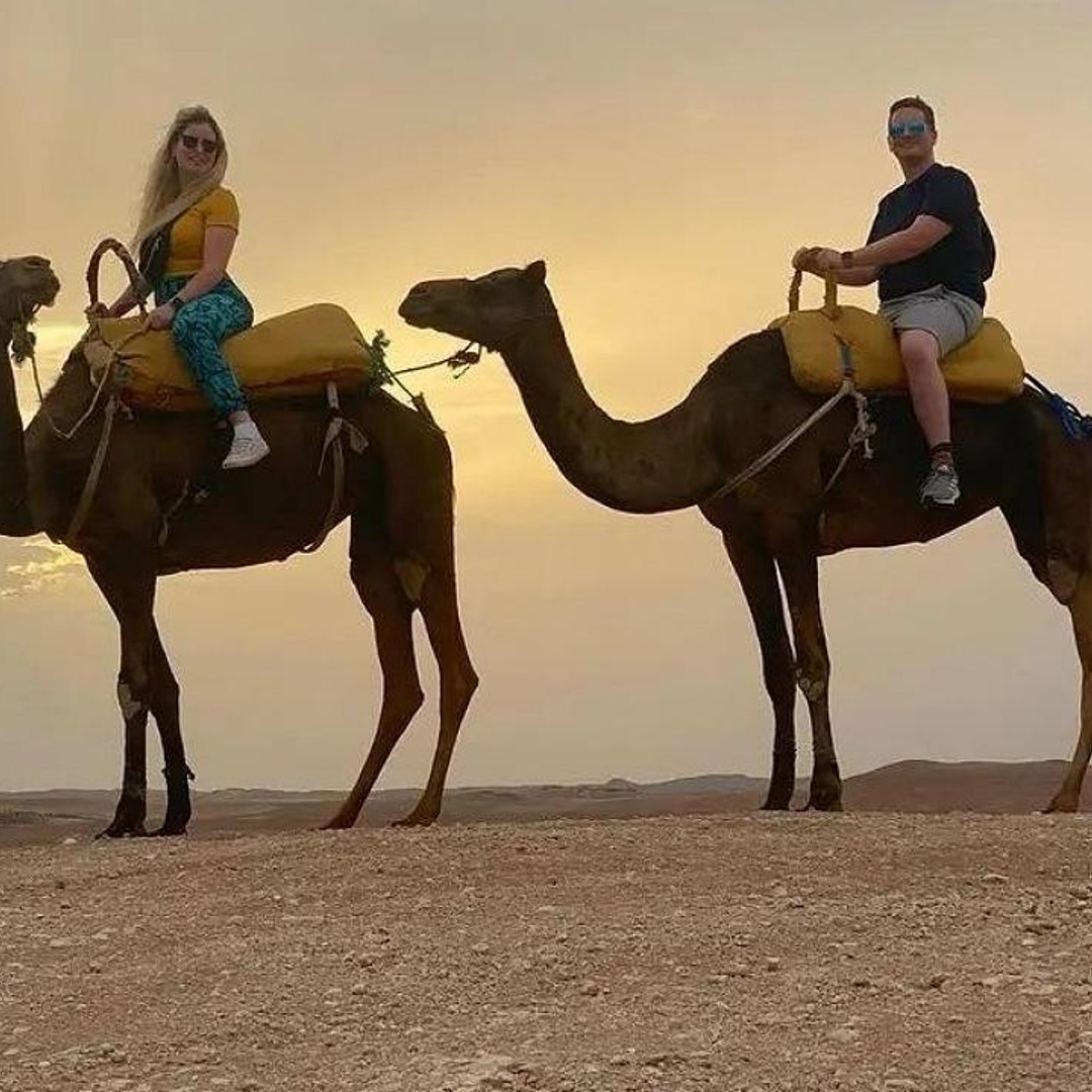 Balade à dos de chameau dans le désert d'Agafay, coucher de soleil et dîner - dromadaire