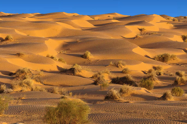 Dagtrip naar de woestijn van Tunesië: Ksar Ghilan &amp; Star Wars sites