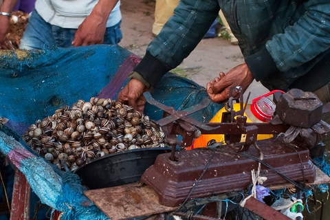 From Marrakech: Private Full-Day Essaouira TourSmall Group Tour From Marrakech to Essaouira