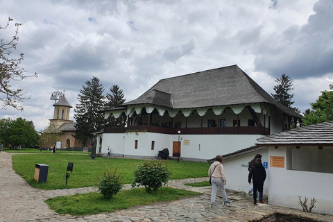 Desde Bucarest: tour de 14 días por Rumanía, Moldavia y TransnistriaOpción estándar