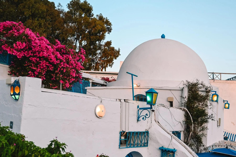 Carthage & Sidi Bou Said Day Trip: History and Blue Alleys Pick-up From Mahdia